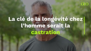 La clé de la longévité chez l’homme serait la castration