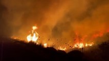 Los ataques de Hezbolá en el norte de Israel causan varios incendios forestales