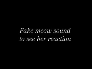 Pranks with cat to see her reaction