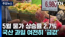 물가 상승 둔화했다지만 '金과일' 여전...하반기 51종 할당관세 적용 / YTN