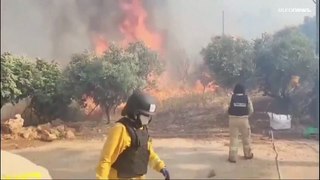 الجيش الإسرائيلي يعلن إصابة 6 من جنود الاحتياط في حرائق غابات أشعلتها صواريخ حزب الله في الشمال