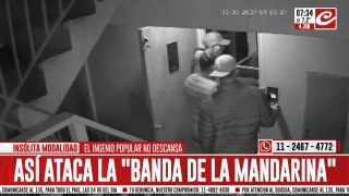 Insólita modalidad de robo: mirá cómo ataca la banda de la mandarina