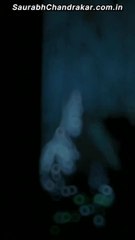 Aarambh Hu Mai Prachand Hu Mai #mahadev #viral #shorts