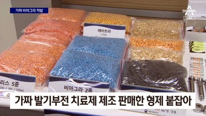160억 가짜 비아그라 공장 통째로 몰수