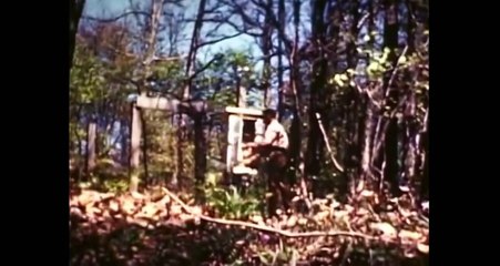 Climate The Movie (The Cold Truth) Updated 4K version