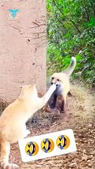 when you are angry with your bestie | जब आप अपने बेस्टी से नाराज़ हों