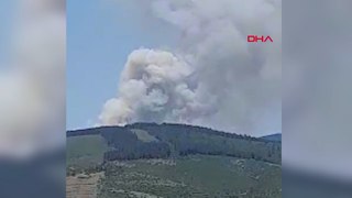 Bursa'da orman yangını; 3 helikopter müdahale ediyor