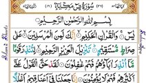 Beautiful recitation of Quran Surah Yaseen #quran #viral #tilawat