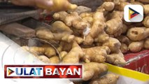 Department of Agriculture, target itaas ang produksiyon ng bawang at luya sa pamamagitan ng...