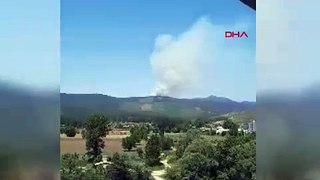 Bursa’da orman yangını; 3 helikopter müdahale ediyor