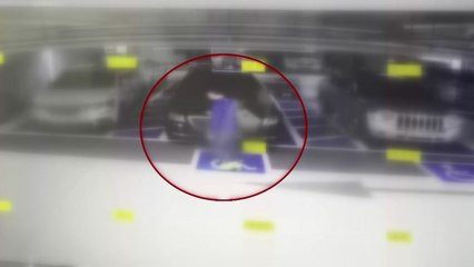 '회삿돈 3억여 원 훔쳐 도주' 50대 구속..."빚 갚으려" / YTN