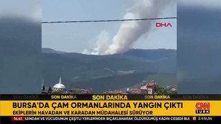 Bursa'da orman yangını!