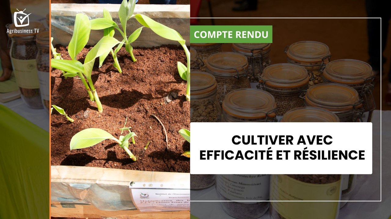 Cultiver avec efficacité et résilience