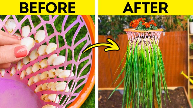 How To Grow Your Own Fresh Food at Home Genius Gardening Hacks!