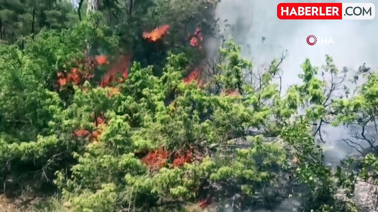 Bursa'da Orman Yangınına Helikopter ve Uçaklarla Müdahale Ediliyor