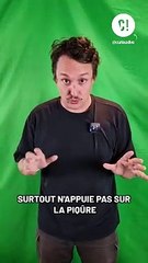 Que faire en cas de piqûre d'abeille ?