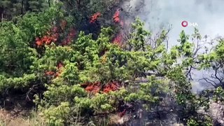Bursa'da orman yangını: 6 helikopter, 4 uçak müdahele ediyor