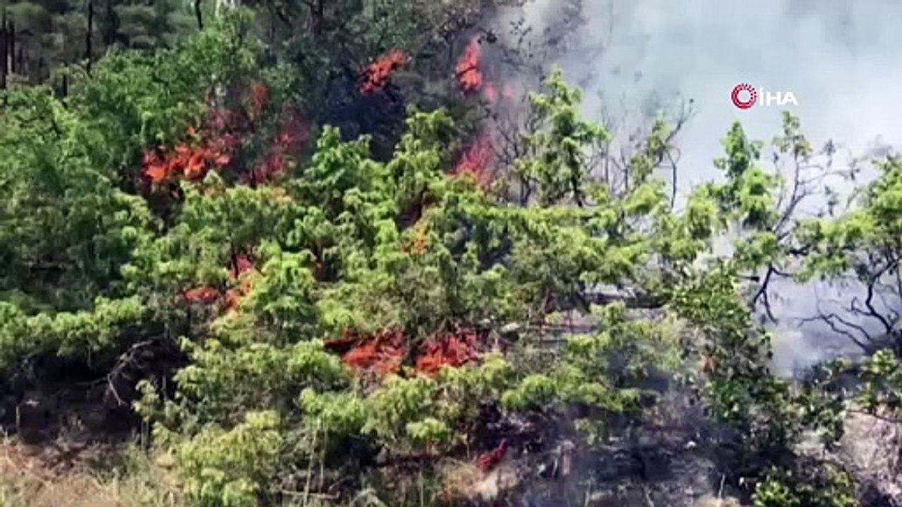 Bursa'da orman yangını: 6 helikopter, 4 uçak müdahele ediyor