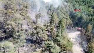 BURSA Orman yangını havadan görüntülendi