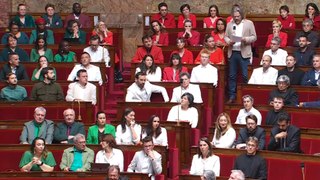Assemblée nationale : des députés de gauche en costume vert, blanc, rouge ou noir, les couleurs du drapeau palestinien