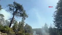 Bursa'da orman yangınına 6 helikopter, 4 uçakla müdahale (Ek görüntü eklendi)