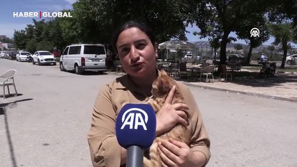 Sahipsiz köpekler mahalleliyi canından bezdirdi: "Dışarıya çıkamıyoruz"