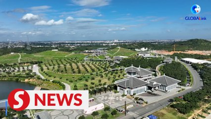 Explore the alluring aroma of agarwood