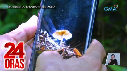 24 Oras Part 3: Umuusok na kabute sa CamSur?; pag-aresto sa nagpapanggap na abugado; makeup transformation ni Hara Amihan -- Kylie Padilla, atbp.
