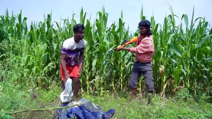 Must Watch The Robber Bullock Cart New Funny Comedy Video 2024 Totally Amazing Comedy Episode 282