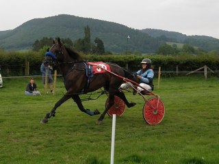 Wales & Border Counties Harness Racing at Presteigne