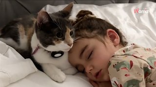 Une petite fille fait tout avec son chat : leur relation fait craquer plus de 19M d’internautes