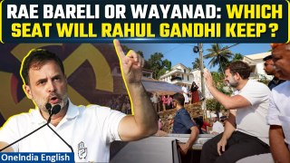 LS Results 2024: Rahul Gandhi’s Massive Win in Rae Bareli and Amethi Constituencies | Watch