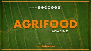 Agrifood Magazine - 5/6/2024