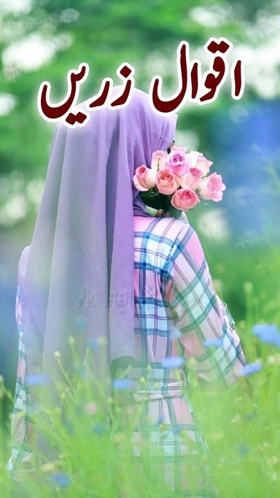 Hamesha Meethe Alfaz Bolo I  #islamicvlog #islamicvideo #urdusadpoetry #aqwalezareen #viral  #islamicvlog #islamicvlog #urdusadpoetry #urdupoetry #urdupoetrystatusl #urdushayari #whatsappstatus