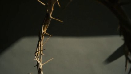 La grande leçon du Psaume 22 (La Clef de David avec Gerald Flurry)