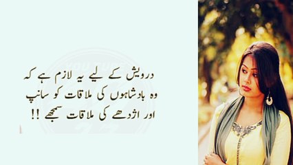 Urdu quotes bano qudsia quotes