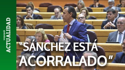 El PP asegura que Sánchez está "acorralado por la corrupción" tras la citación de Begoña Gómez