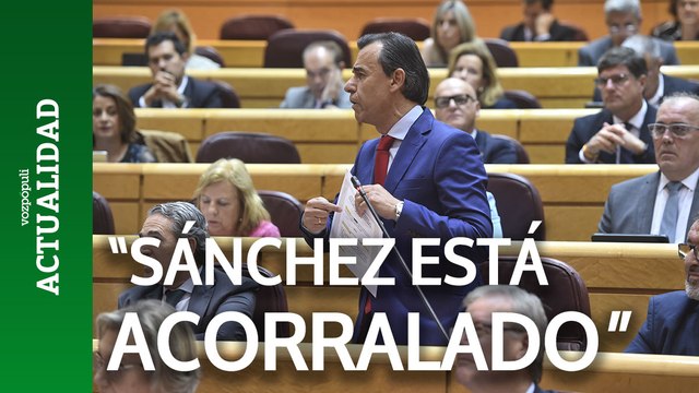 El PP asegura que Sánchez está acorralado por la corrupción tras la citación de Begoña Gómez
