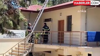 Sinop'ta Sıkışan Martı İtfaiye Ekipleri Tarafından Kurtarıldı