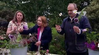 Ed Davey visits the Shropshire flower farm.