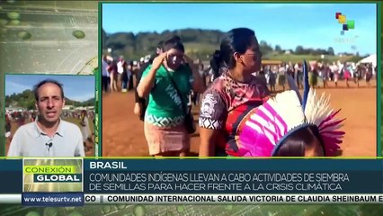 ¡Combate a la crisis climática! Comunidades indígenas siembran semillas