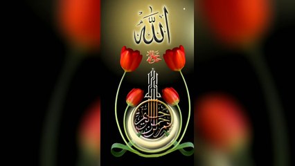 Here's my latest video