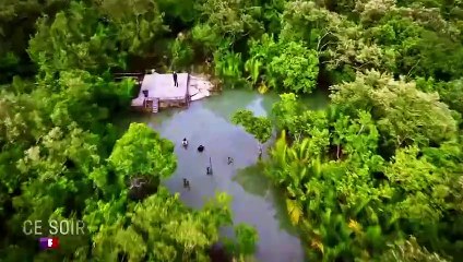 La bande-annonce de "Koh-Lanta : Les chasseurs d'immunité" de ce mardi 4 juin 2024 sur TF1.