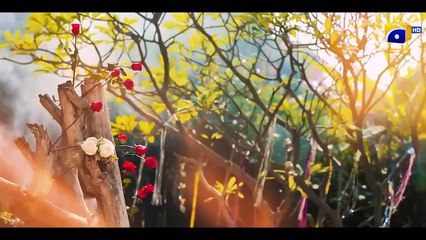 Shiddat Episode 07: Muneeb Butt & Anmol Baloch