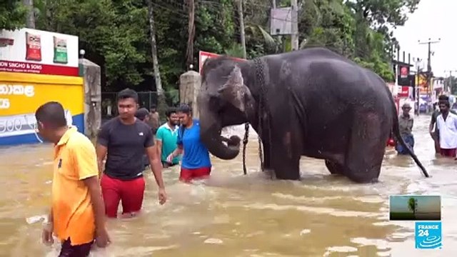 Inundaciones y devastadoras tormentas, la crisis climática deja rastros en todo el mundo