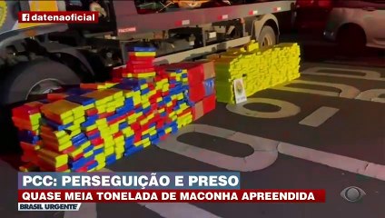 PCC: traficante preso e meia tonelada de maconha apreendida
