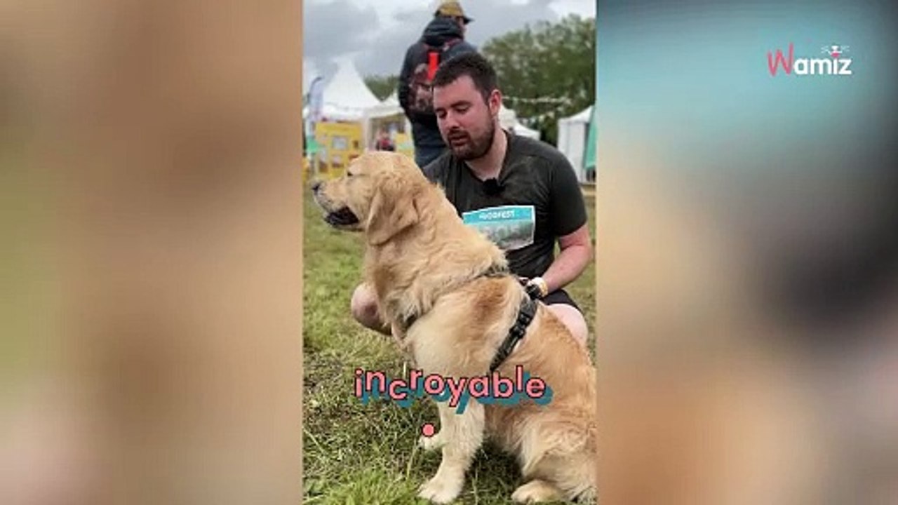 Une journée de rêve avec votre chien : ce festival unique en son genre est à ne surtout pas manquer