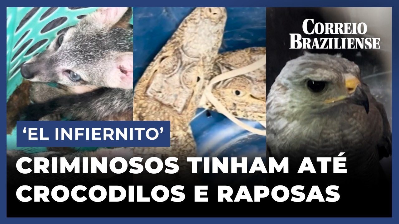 'EL INFIERNITO': CONHEÇA A PRISÃO ONDE CRIMINOSOS TINHAM CROCODILOS, RAPOSAS E CALL CENTER