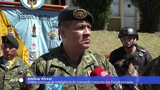 Equador condecora cães detectores de drogas, armas e explosivos