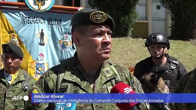 Equador condecora cães detectores de drogas, armas e explosivos